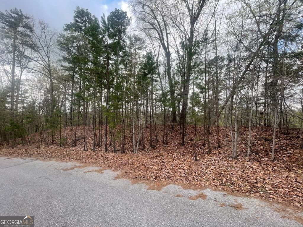 0 Planters Pointe Drive, Baldwin, GA 30511 — photo 3