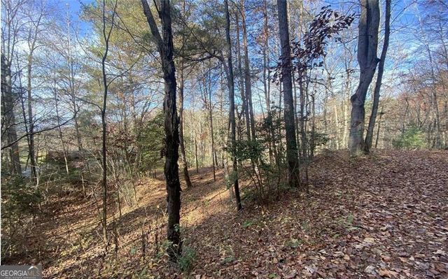 1 Barefoot Hills Road, Hiawassee, GA 30546