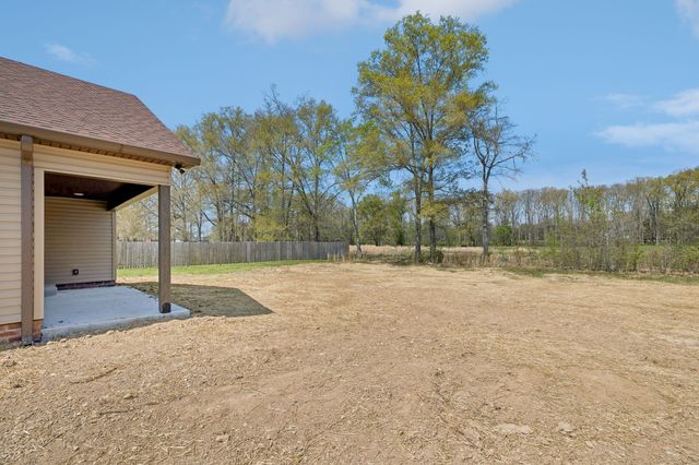 242 Green Meadow Dr, Smithville, TN 37166