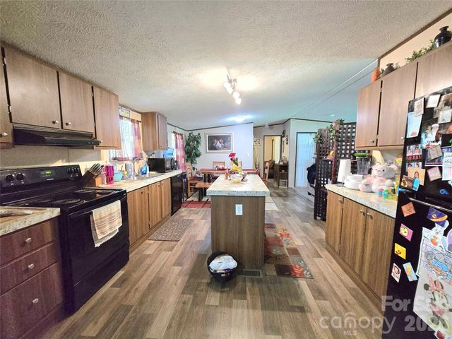 221 Turkey Pen Gap Road, Horse Shoe, NC 28742