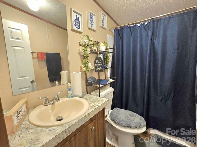 221 Turkey Pen Gap Road, Horse Shoe, NC 28742