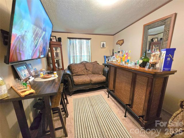 221 Turkey Pen Gap Road, Horse Shoe, NC 28742