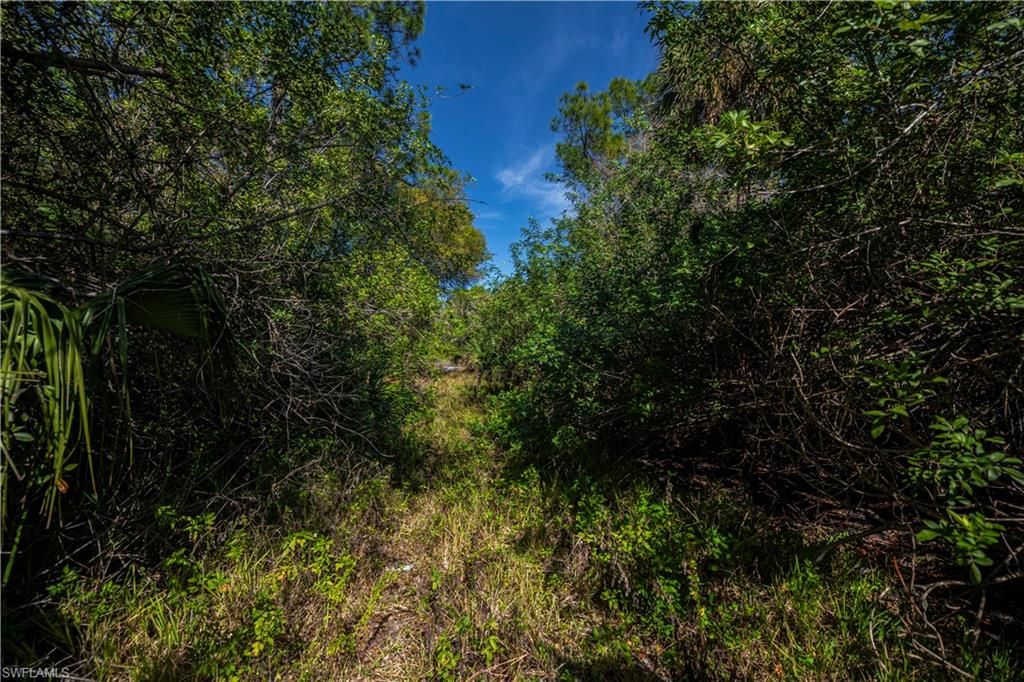 850 G RD, LABELLE, FL 33935 — photo 5