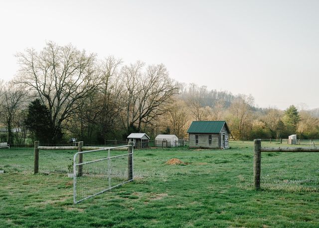 5545 Beech Hill Rd, Pulaski, TN 38478