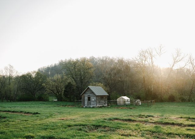 5545 Beech Hill Rd, Pulaski, TN 38478