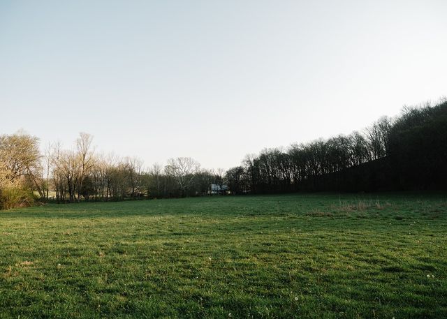 5545 Beech Hill Rd, Pulaski, TN 38478