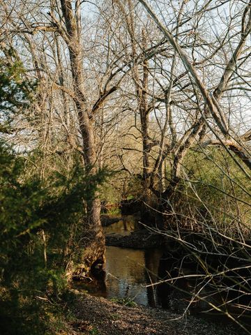 5545 Beech Hill Rd, Pulaski, TN 38478