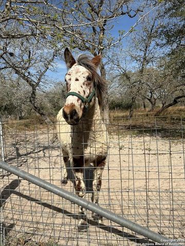 140 guadalupe ranch, Seguin, TX 78155