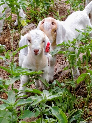 140 guadalupe ranch, Seguin, TX 78155