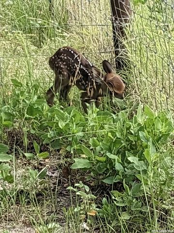 140 guadalupe ranch, Seguin, TX 78155