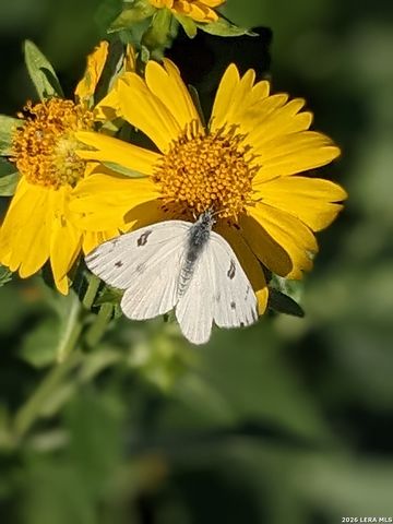 140 guadalupe ranch, Seguin, TX 78155