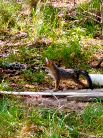 140 guadalupe ranch, Seguin, TX 78155