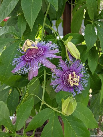 140 guadalupe ranch, Seguin, TX 78155