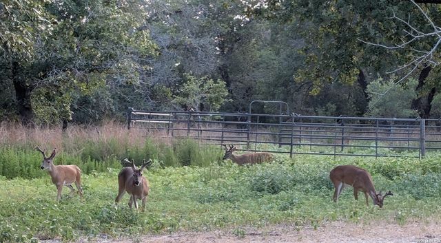 140 guadalupe ranch, Seguin, TX 78155