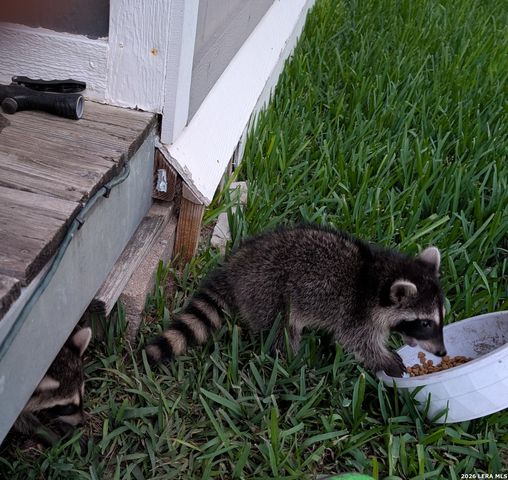 140 guadalupe ranch, Seguin, TX 78155