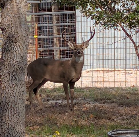 140 guadalupe ranch, Seguin, TX 78155