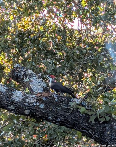 140 guadalupe ranch, Seguin, TX 78155