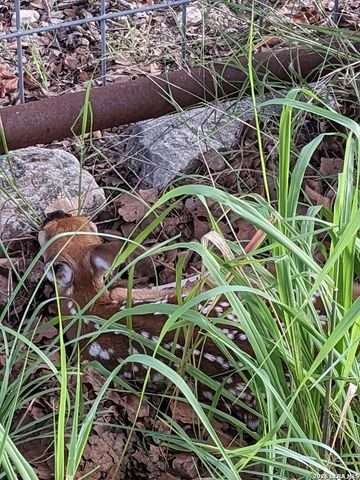 140 guadalupe ranch, Seguin, TX 78155