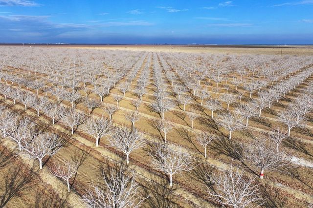 0 W Conejo Avenue, Cantua Creek, CA 93608