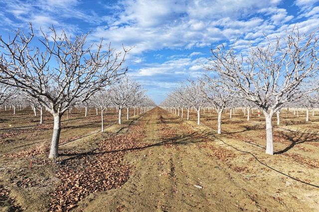 0 W Conejo Avenue, Cantua Creek, CA 93608