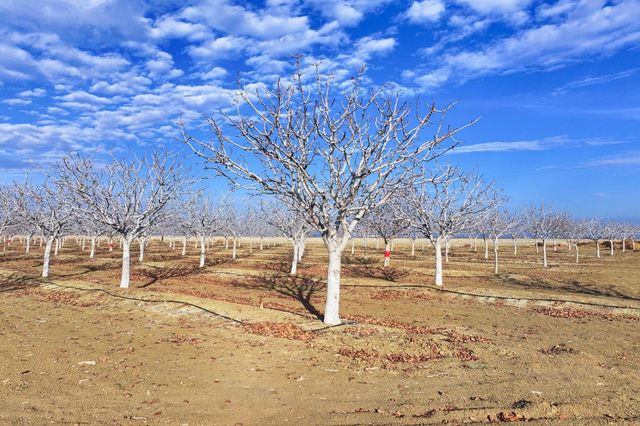 0 W Conejo Avenue, Cantua Creek, CA 93608