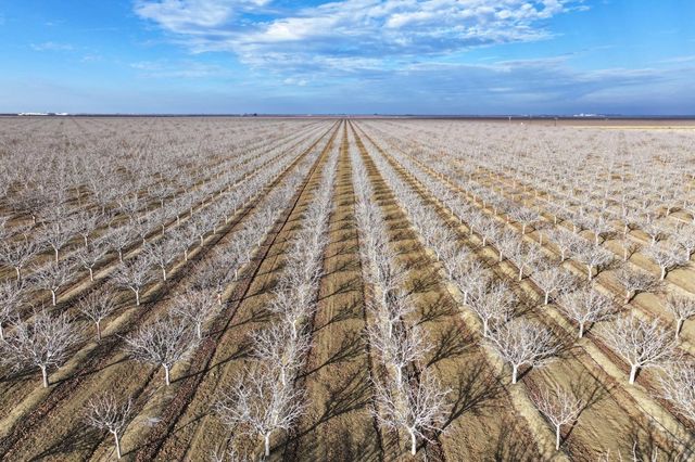 0 W Conejo Avenue, Cantua Creek, CA 93608