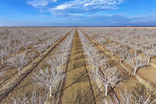 0 W Conejo Avenue, Cantua Creek, CA 93608