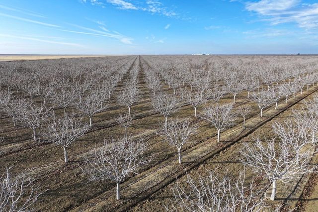 0 W Conejo Avenue, Cantua Creek, CA 93608