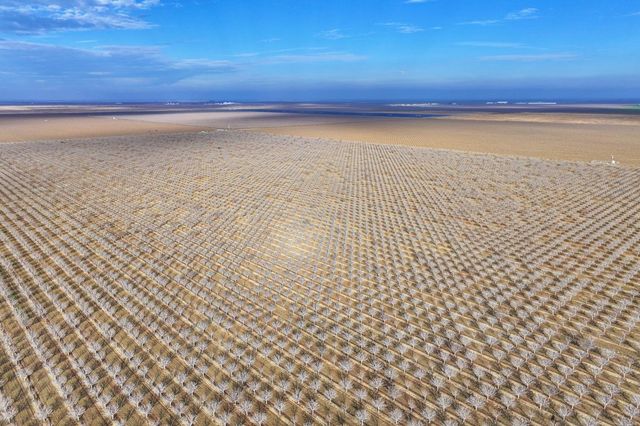 0 W Conejo Avenue, Cantua Creek, CA 93608