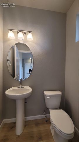 729 Belleza View, Colorado Springs, CO 80907