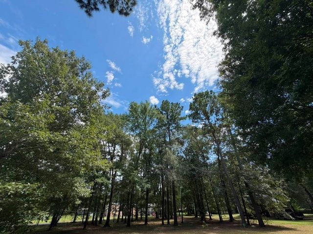 9806 State Highway 156, Coldspring, TX 77331