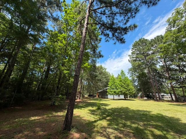 9806 State Highway 156, Coldspring, TX 77331
