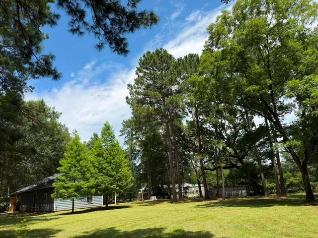 9806 State Highway 156, Coldspring, TX 77331