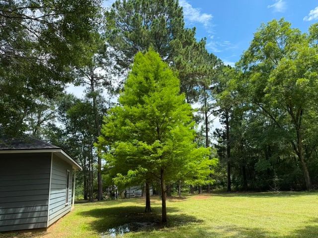 9806 State Highway 156, Coldspring, TX 77331