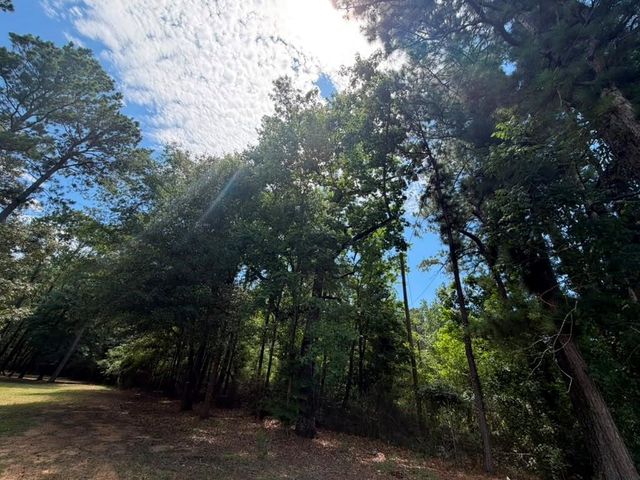 9806 State Highway 156, Coldspring, TX 77331