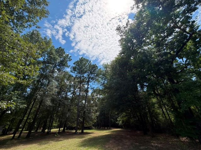 9806 State Highway 156, Coldspring, TX 77331