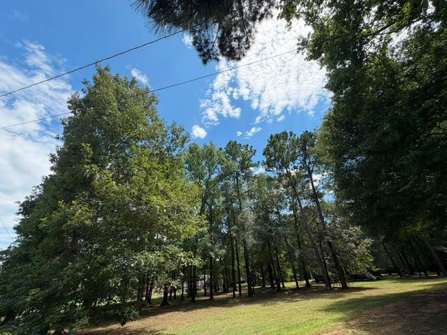 9806 State Highway 156, Coldspring, TX 77331