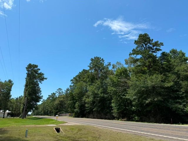 9806 State Highway 156, Coldspring, TX 77331