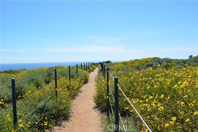 34144 Selva Road 205, Dana Point, CA 92629