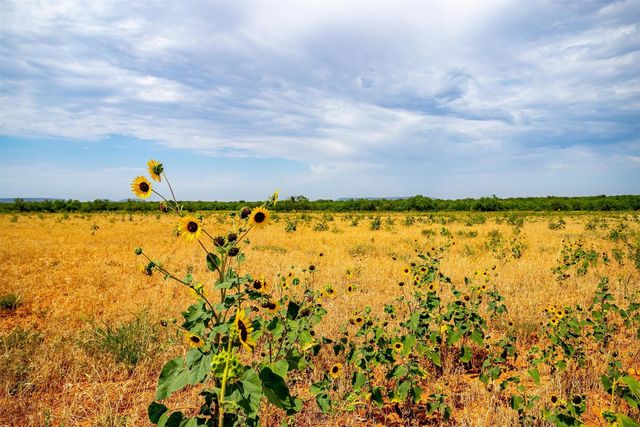 981 County Road 177, Lawn, TX 79530