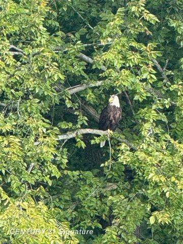 3365 Old Kawkawlin Road, Bay City, MI 48706