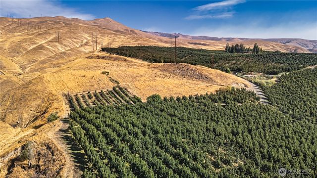 394 Lure Ln, Monitor, WA 98836