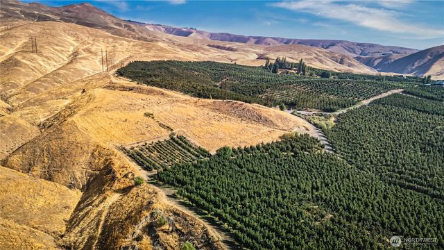 394 Lure Ln, Monitor, WA 98836