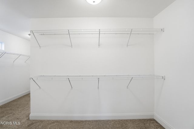 1001 Plum Grove Lane, Toledo, OH 43615