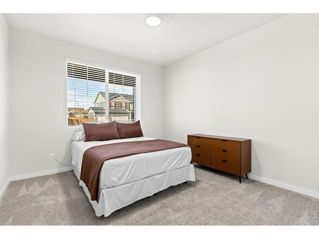 3657 Speedwell St, Wellington, CO 80549