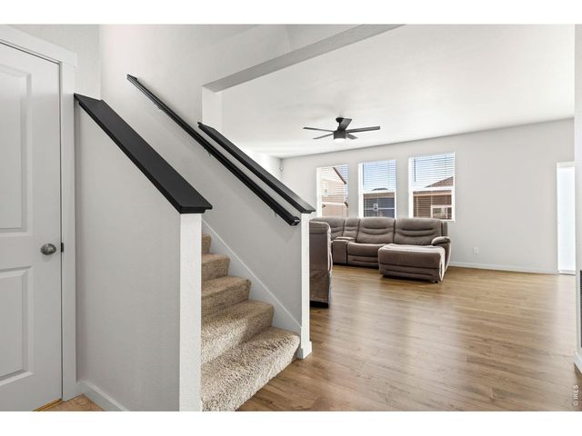 3657 Speedwell St, Wellington, CO 80549