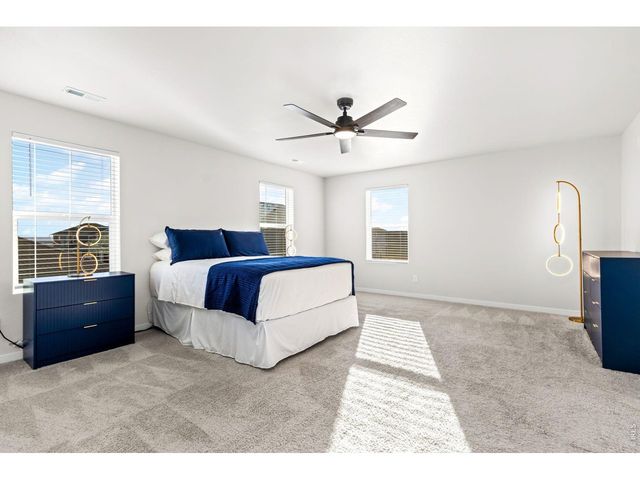 3657 Speedwell St, Wellington, CO 80549