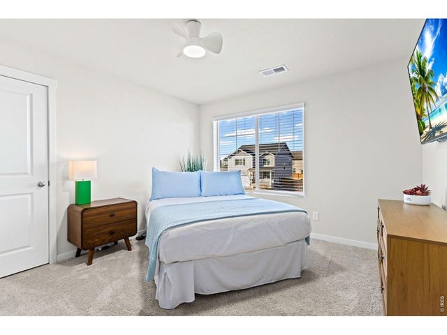 3657 Speedwell St, Wellington, CO 80549