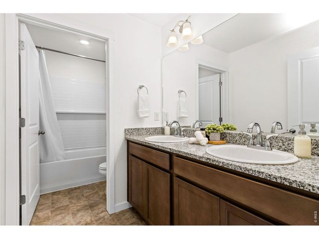 3657 Speedwell St, Wellington, CO 80549