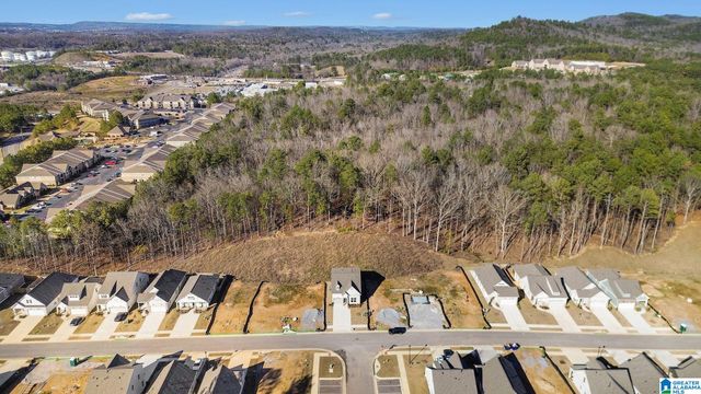 193 HUNTLEY RIDGE DRIVE, Pelham, AL 35124